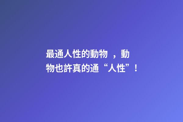 最通人性的動物，動物也許真的通“人性”!